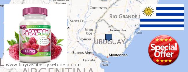 Dónde comprar Raspberry Ketone en linea Uruguay
